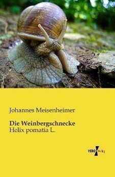 Die Weinbergschnecke