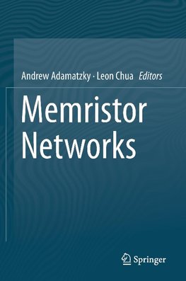 Memristor Networks