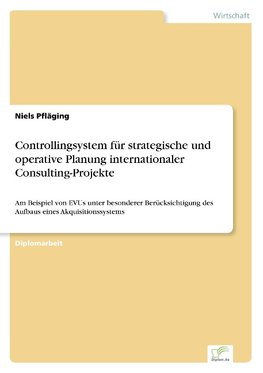 Controllingsystem für strategische und operative Planung internationaler Consulting-Projekte