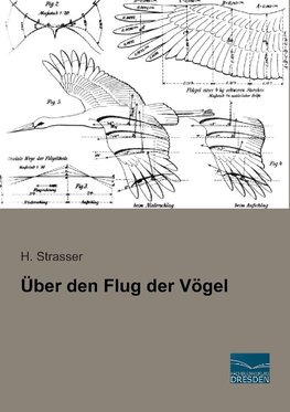 Über den Flug der Vögel