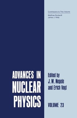 Advances in Nuclear Physics