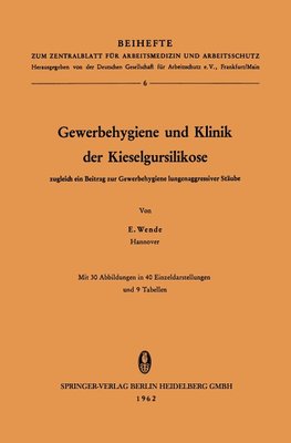 Gewerbehygiene und Klinik der Kieselgursilikose