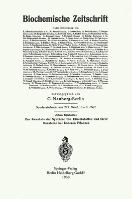 Zur Kenntnis der Synthese von Eiweißstoffen und ihrer Bausteine bei höheren Pflanzen