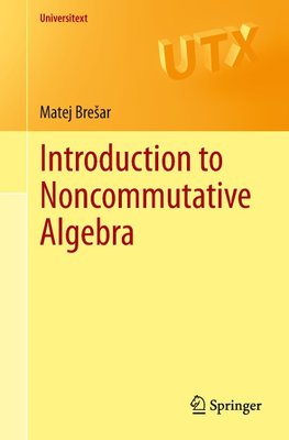 Introduction to Noncommutative Algebra