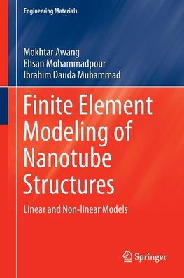 Finite Element Modeling of Nanotube Structures