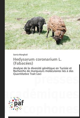 Hedysarum coronarium L. (Fabacées)