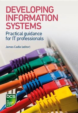 Developing Information Systems