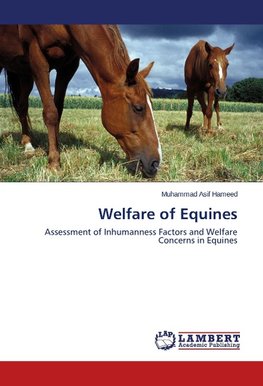 Welfare of Equines