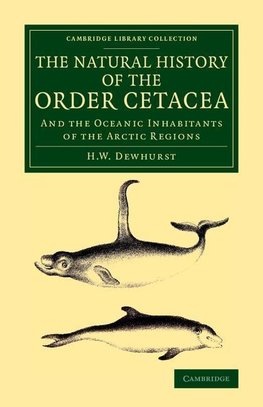 The Natural History of the Order Cetacea