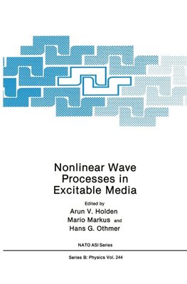 Nonlinear Wave Processes in Excitable Media