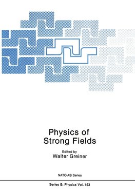 Physics of Strong Fields