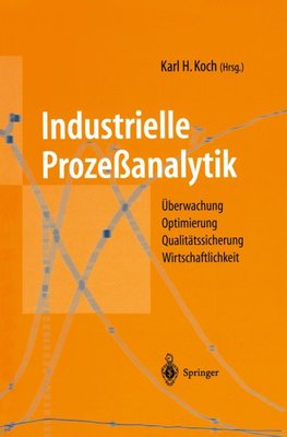 Industrielle Prozeßanalytik