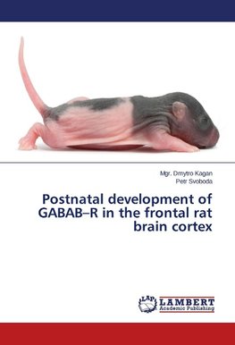 Postnatal development of GABAB-R in the frontal rat brain cortex