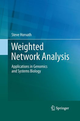 Weighted Network Analysis