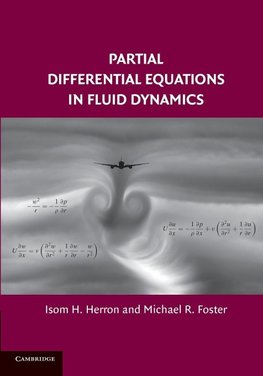 Partial Differential Equations in Fluid Dynamics