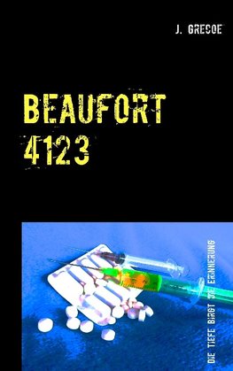 Beaufort 4123