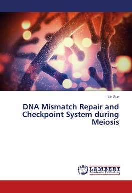 DNA Mismatch Repair and Checkpoint System during Meiosis