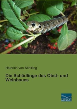 Die Schädlinge des Obst- und Weinbaues