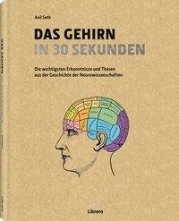 Das Gehirn in 30 Sekunden