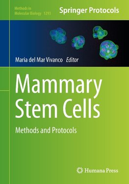 Mammary Stem Cells