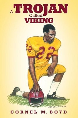 A Trojan Called Viking