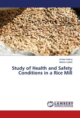 Study of Health and Safety Conditions in a Rice Mill