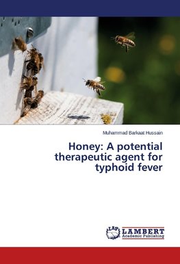 Honey: A potential therapeutic agent for typhoid fever