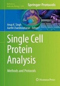 Single Cell Protein Analysis