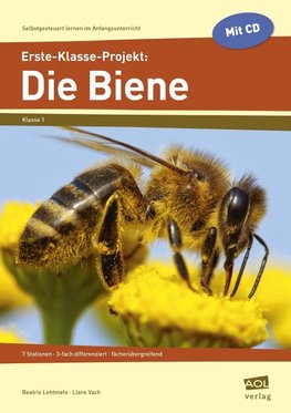 Erste-Klasse-Projekt: Die Biene