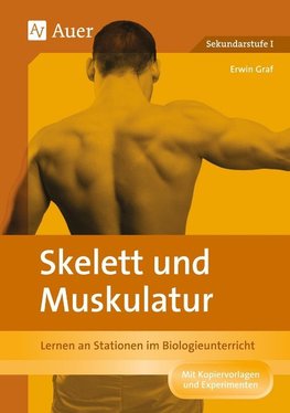 Skelett und Muskulatur