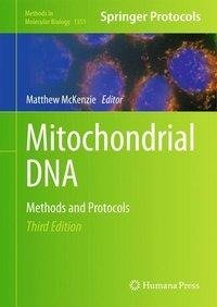 Mitochondrial DNA