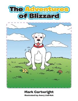 The Adventures of Blizzard