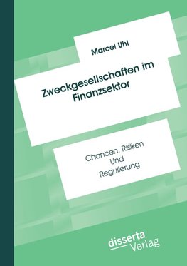 Zweckgesellschaften im Finanzsektor: Chancen, Risiken und Regulierung