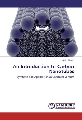 An Introduction to Carbon Nanotubes