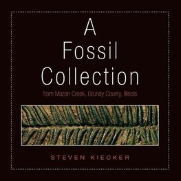 A Fossil Collection