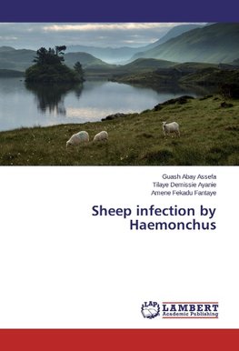 Sheep infection by Haemonchus