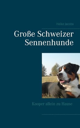 Große Schweizer Sennenhunde - Kooper allein zu Hause