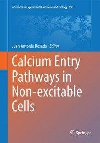 Calcium Entry Pathways in Non-excitable Cells