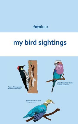 my bird sightings