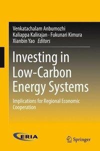 Investing in Low-Carbon Energy Systems