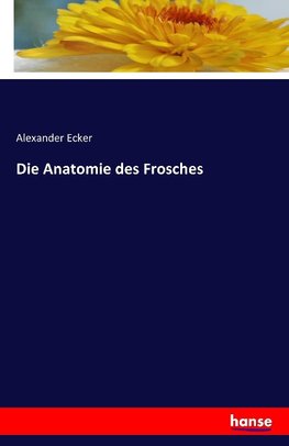 Die Anatomie des Frosches