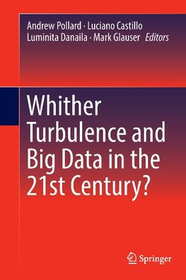 Whither Turbulence and Big Data in the 21st Century