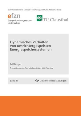 Dynamisches Verhalten von umrichtergespeisten Energiespeichersystemen