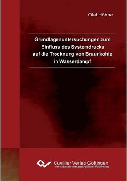 Grundlagenuntersuchungen zum Einfluss des Systemdrucks auf die Trocknung von Braunkohle in Wasserdampf