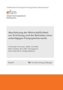 Abschätzung der Wirtschaftlichkeit zur Errichtung und des Betriebes eines untertägigen Pumpspeicherwerks