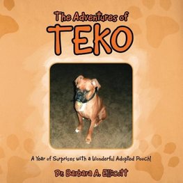 The Adventures of Teko