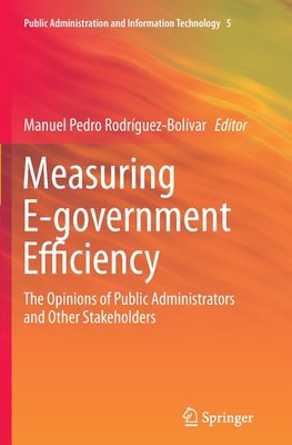 Measuring E-government Efficiency