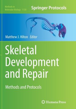 Skeletal Development and Repair