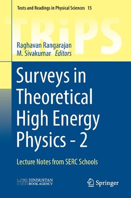 Surveys in Theoretical High Energy Physics - 2