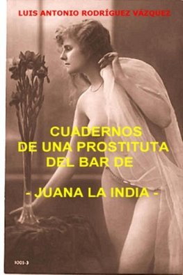 Cuadernos de una prostituta del bar de Juana la india